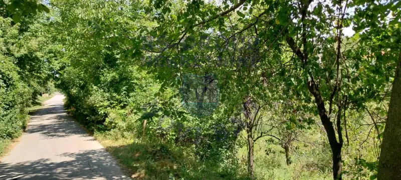 plac na prodaju Sremska Kamenica, 1847m2 575363