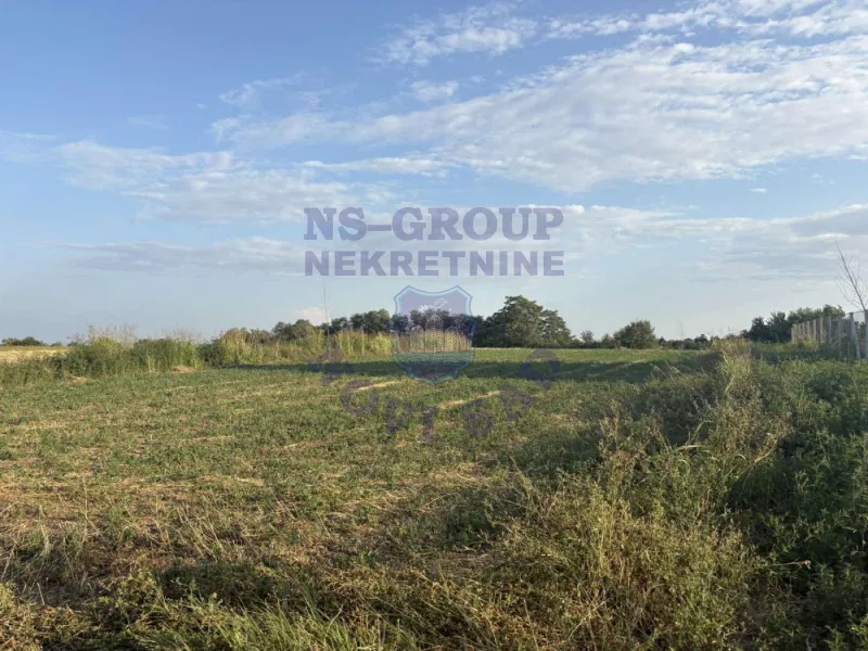 plac na prodaju Čortanovci, 1000m2 575359