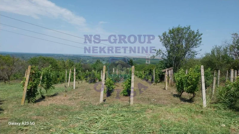 plac na prodaju Krčedin 2952m2 575343