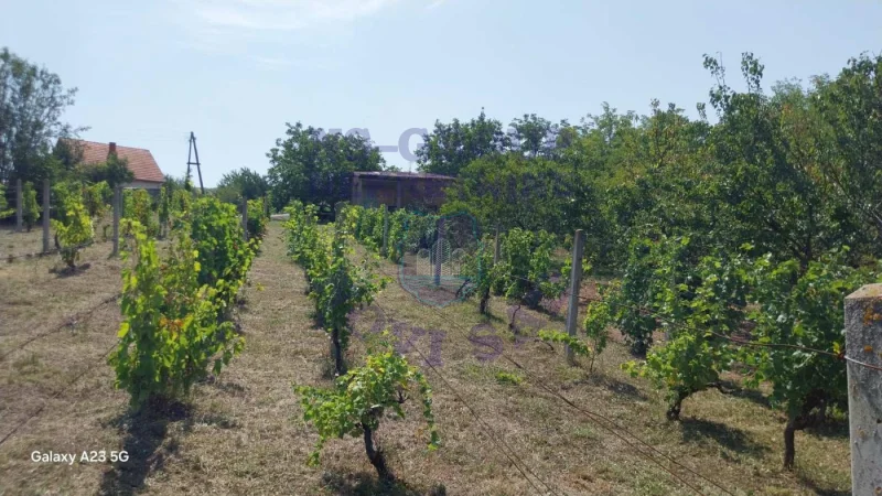 plac na prodaju Krčedin 2952m2 575343