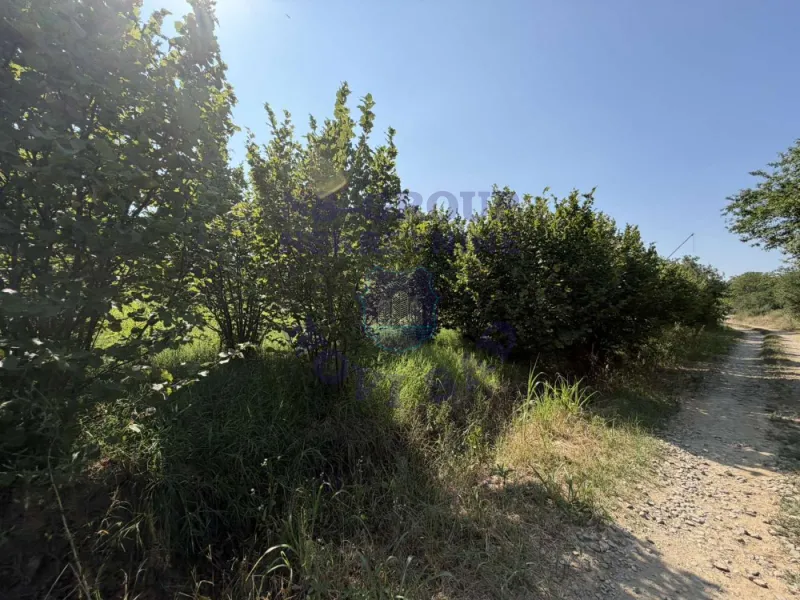 plac na prodaju Sremski Karlovci 2704m2 575265