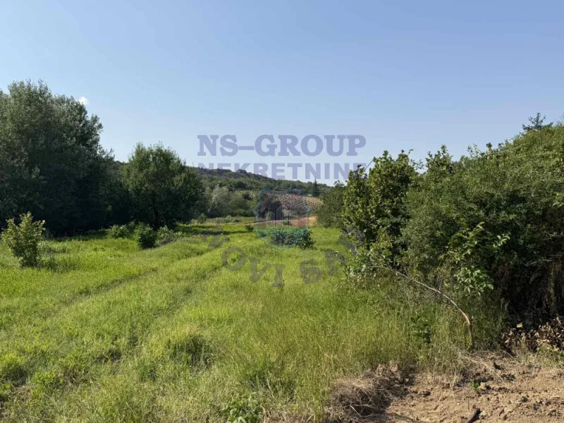 plac na prodaju Sremski Karlovci 2704m2 575265