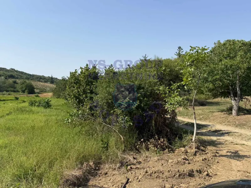 plac na prodaju Sremski Karlovci, 2704m2 575265