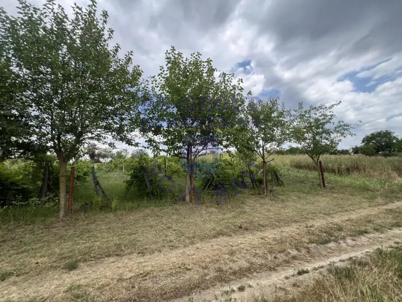 plac na prodaju Kovilj 3981m2 575442