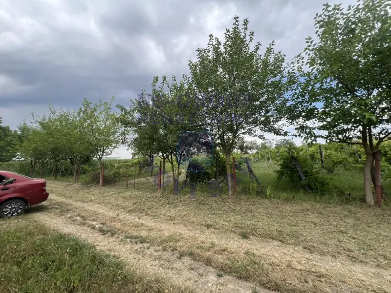 plac na prodaju Kovilj 3981m2 575442