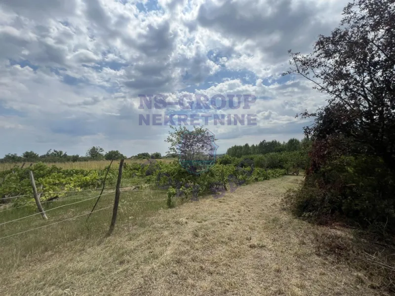 plac na prodaju Kovilj 3981m2 575442