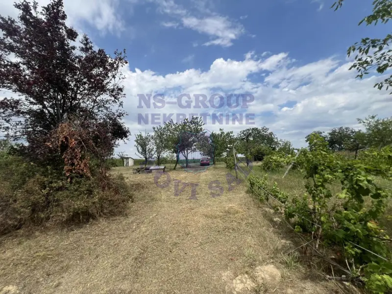 plac na prodaju Kovilj 3981m2 575442