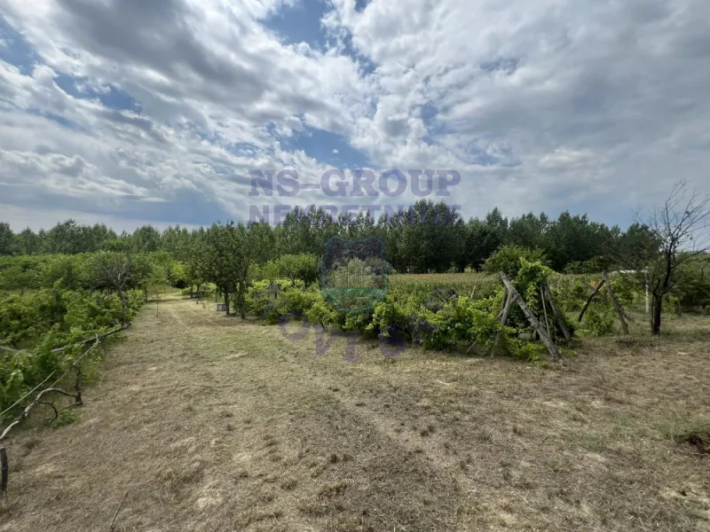 plac na prodaju Kovilj 3981m2 575442