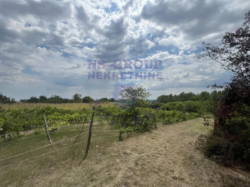 plac na prodaju Kovilj 3981m2 575442