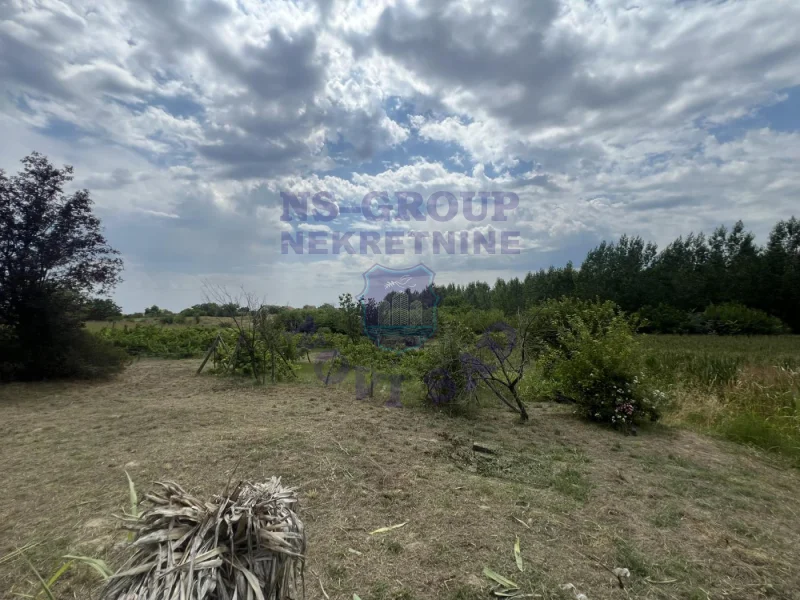 plac na prodaju Kovilj 3981m2 575442