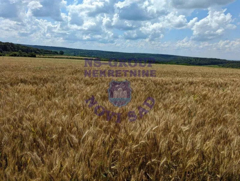 plac na prodaju Bačka Palanka 4269m2 575466