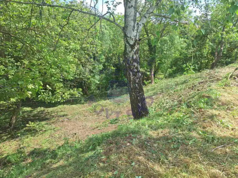 plac na prodaju Sremska Kamenica 542m2 575452