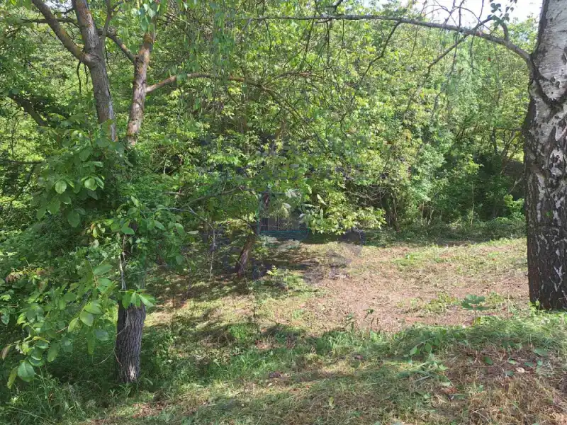 property-card-img-101380