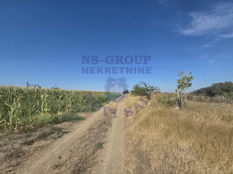 plac na prodaju Kovilj 6505m2 575394