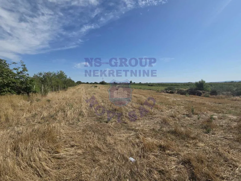 plac na prodaju Kovilj, 6505m2 575394