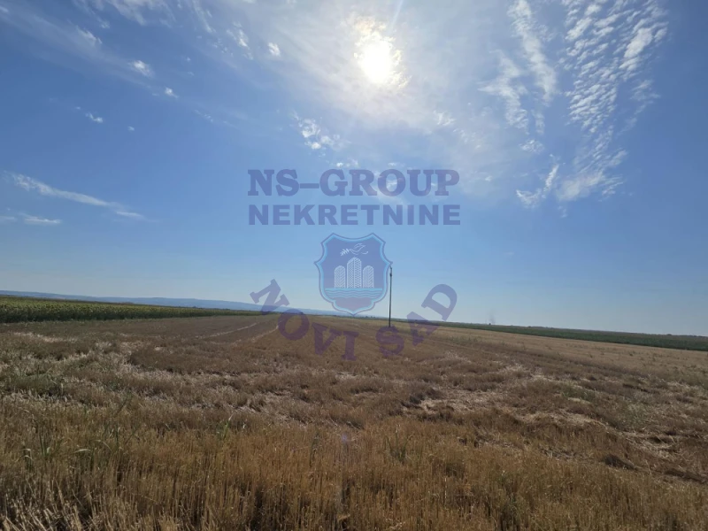 plac na prodaju Budisava 16973m2 564760