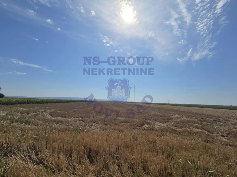 plac na prodaju Budisava 16973m2 564760