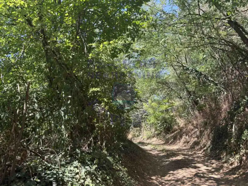 plac na prodaju Sremski Karlovci, 3640m2 575600