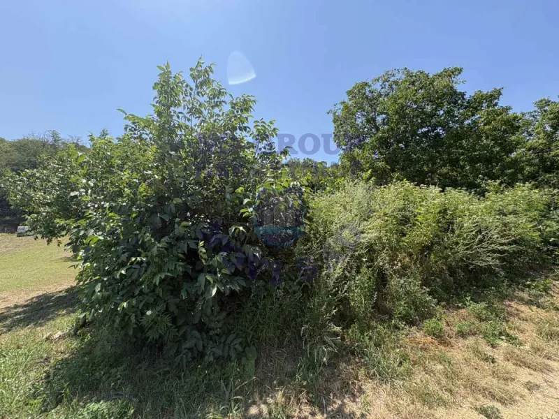 plac na prodaju Sremski Karlovci, 3161m2 575604