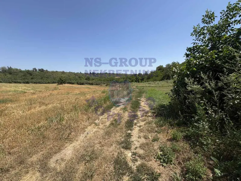 plac na prodaju Sremski Karlovci 2319m2 575601