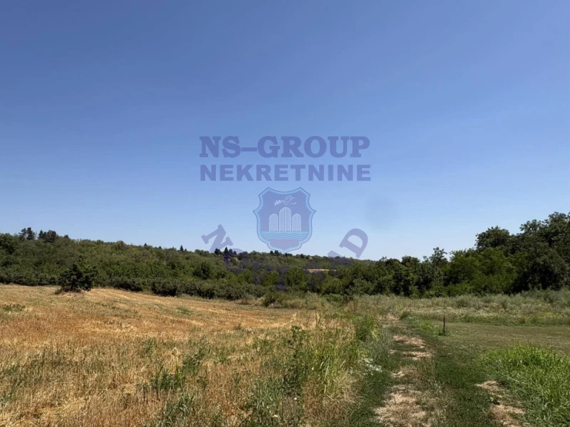 plac na prodaju Sremski Karlovci, 4222m2 575603