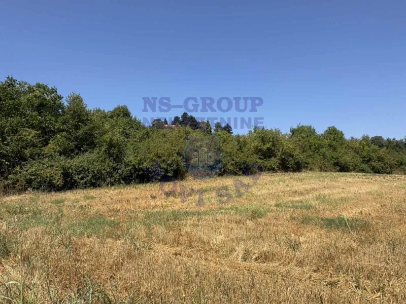 plac na prodaju Sremski Karlovci 3118m2 575602