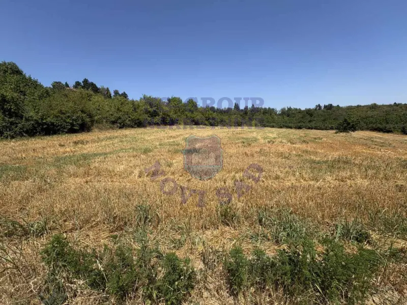plac na prodaju Sremski Karlovci 2319m2 575601