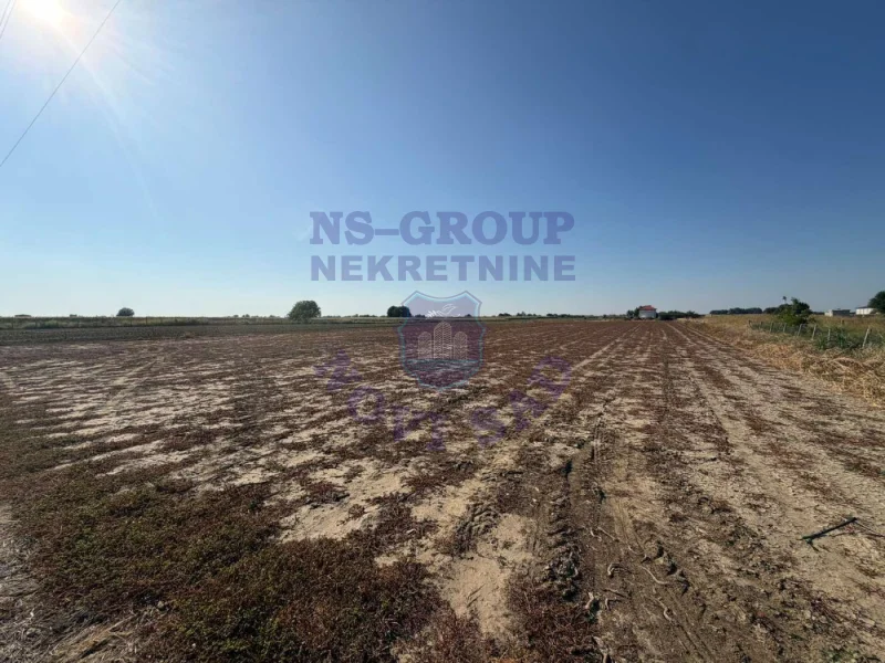 plac na prodaju Futog 600m2 575556