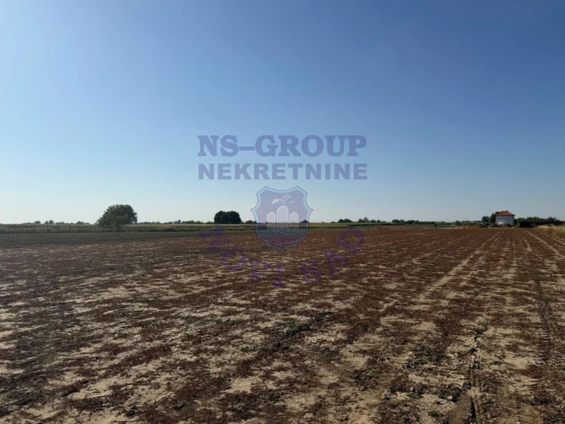plac na prodaju Futog, 600m2 575556