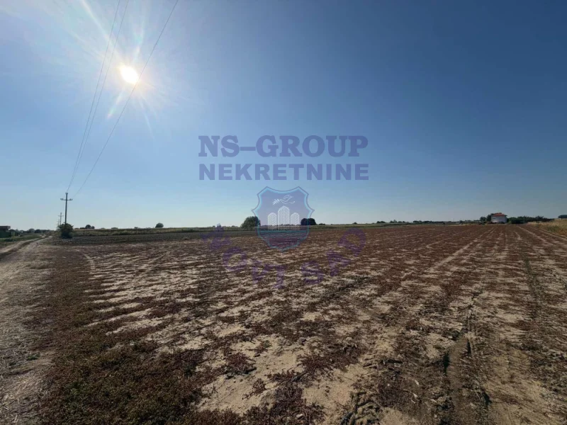 plac na prodaju Futog 600m2 575556