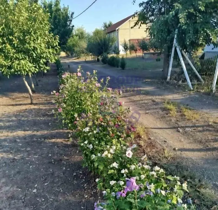 kuca na prodaju Zrenjanin 250m2 575720