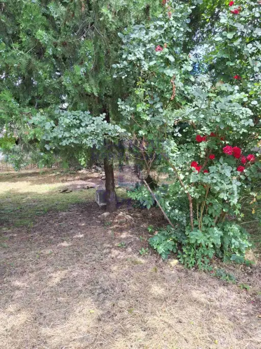 Kuća na prodaju Srbobran 189m2, 575633