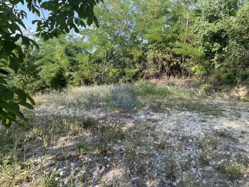 plac na prodaju Rakovac 719m2 566655