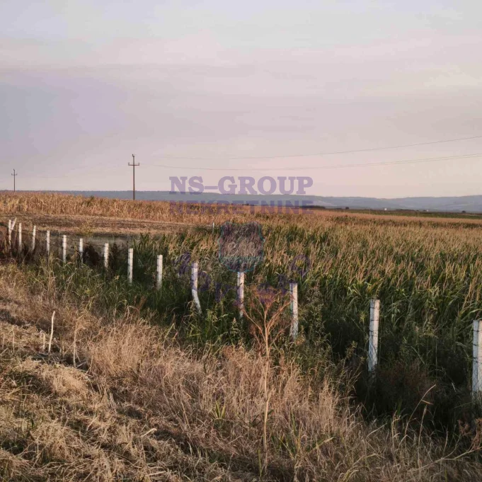 plac na prodaju Budisava 17033m2 575747