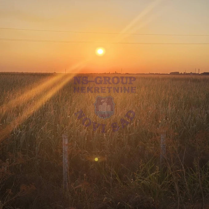 plac na prodaju Budisava 17033m2 575747