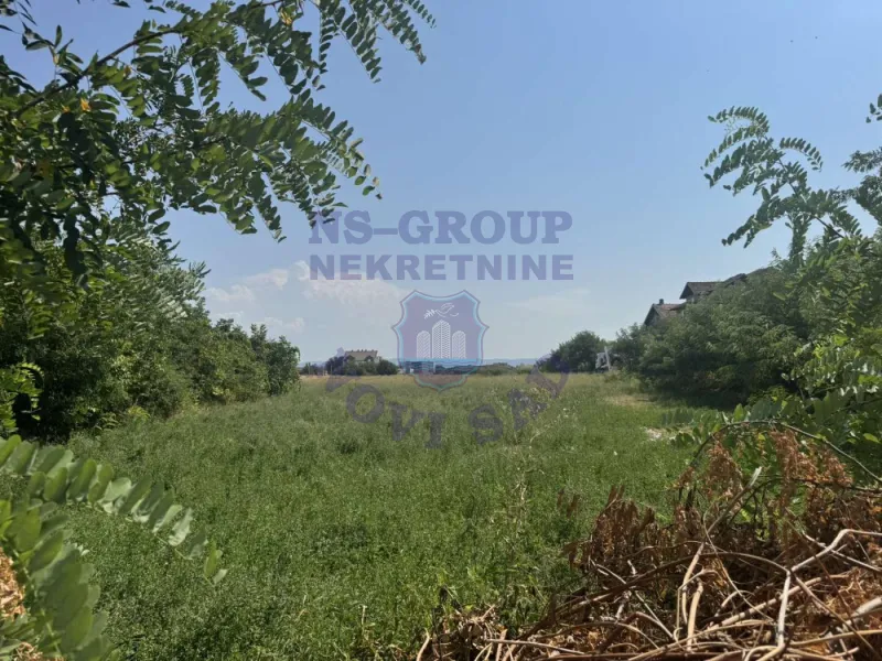 Plac na prodaju Novi Sad 2621m2, 575812
