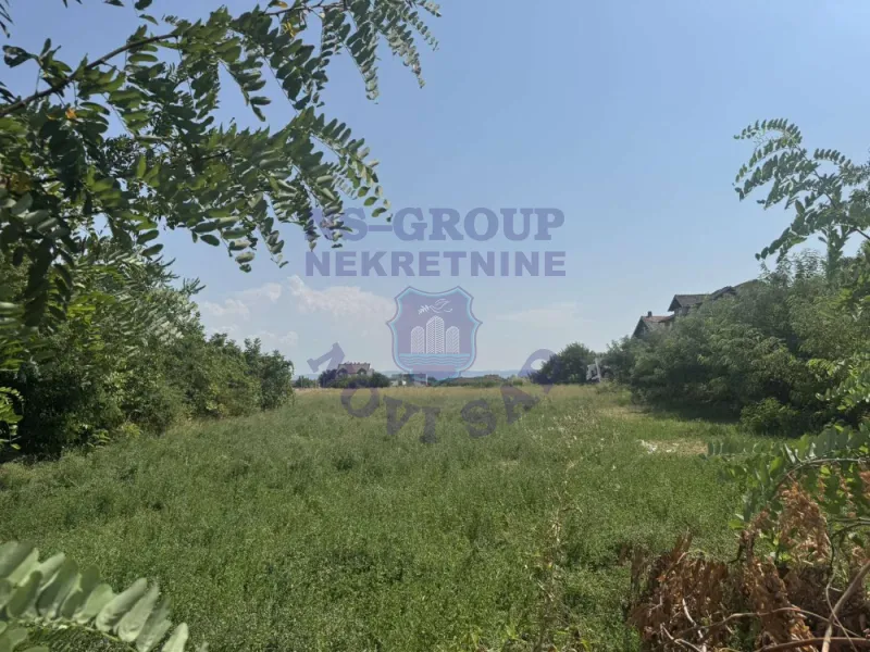 Plac na prodaju Novi Sad 2621m2, 575812