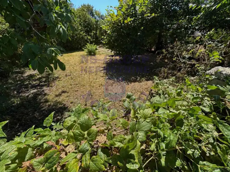 plac na prodaju Ledinci, 721m2 532235