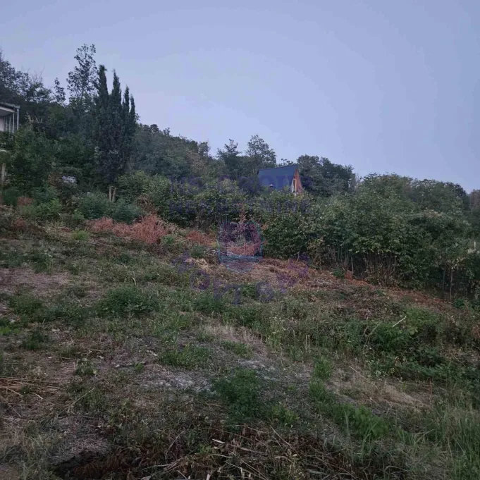 plac na prodaju Sremski Karlovci 4302m2 575922