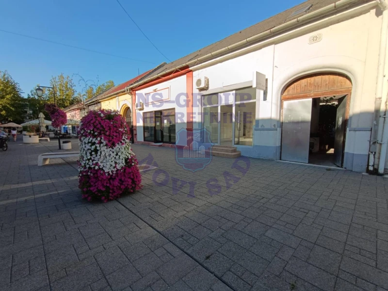 kuca na prodaju Bačka Palanka 223m2 576144