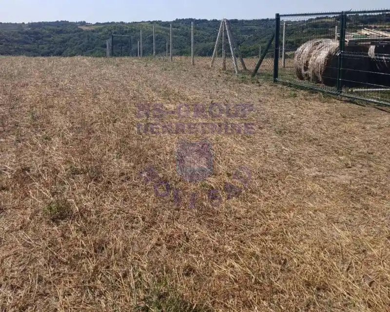 plac na prodaju Sremski Karlovci, 5366m2 576240