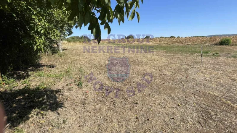 plac na prodaju Petrovaradin 746m2 576328