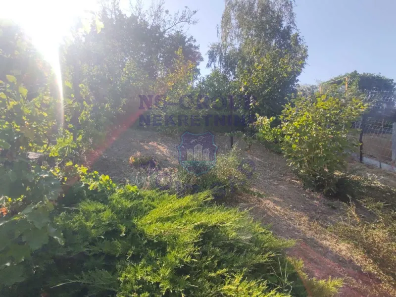 Kuća na prodaju Ledinci 55m2, 576559