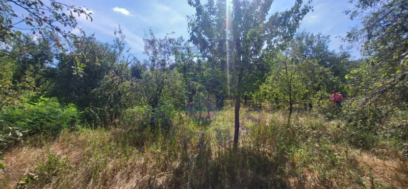 plac na prodaju Ledinci, 794m2 576647