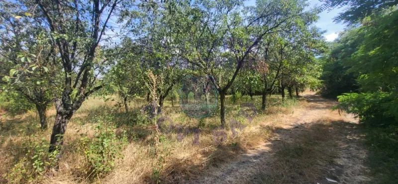 Plac na prodaju Ledinci 794m2, 576647