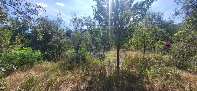 Plac na prodaju Ledinci 794m2, 576647