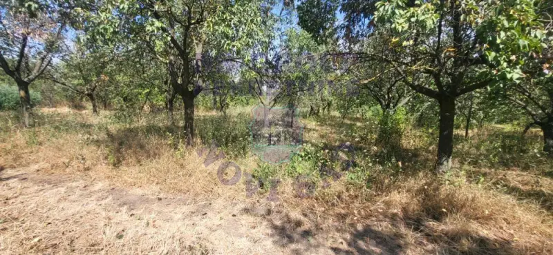 plac na prodaju Ledinci, 393m2 576648