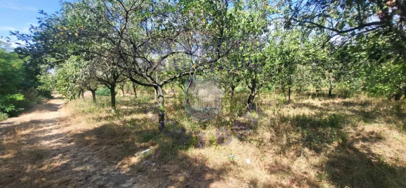 Plac na prodaju Ledinci 393m2, 576648