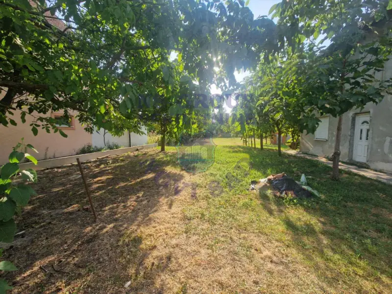 Plac na prodaju Čerević 556m2, 570266