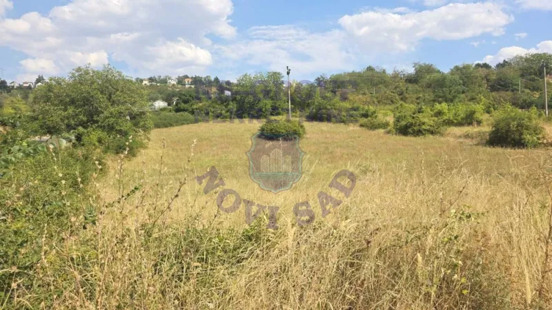 plac na prodaju Sremska Kamenica, 3476m2 576856